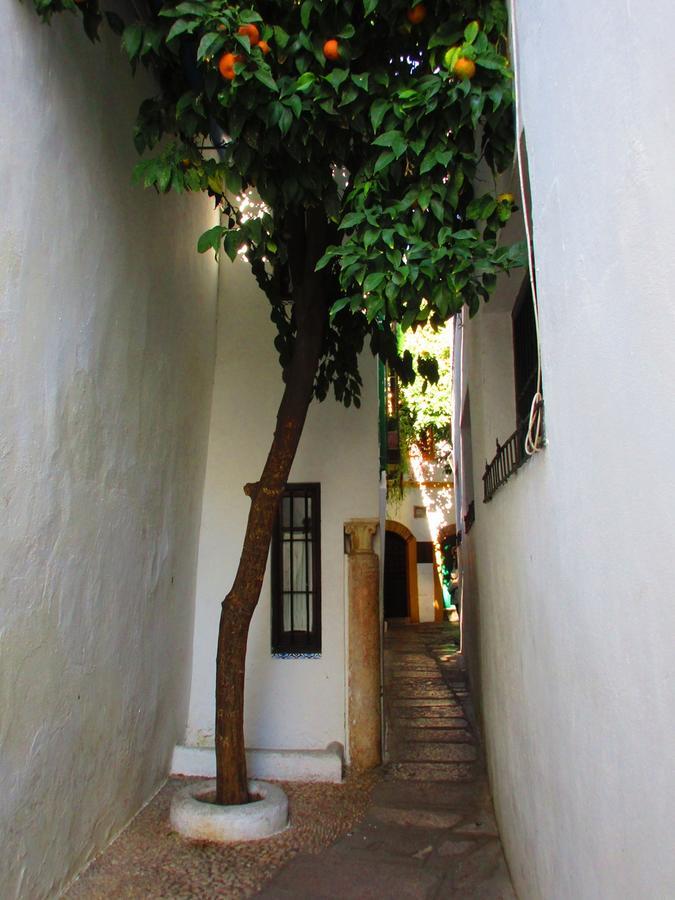 Cordoba Con Encanto Lubi I Dış mekan fotoğraf